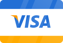 A picture of visa payment button